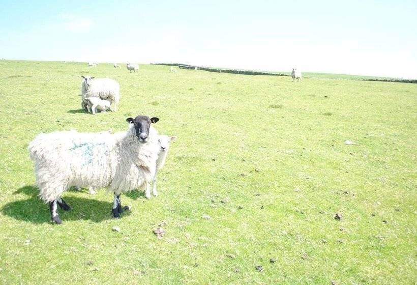 Brambles Farm Peak District Lodge