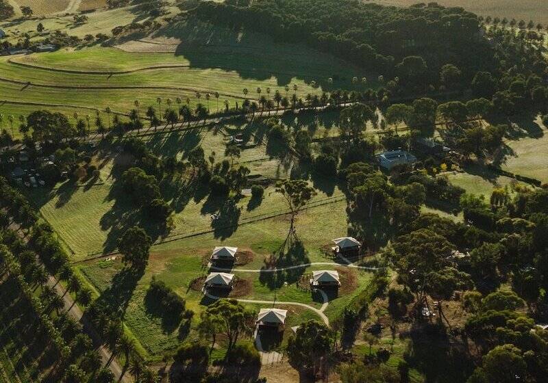 Canvs By Cabn Seppeltsfield Barossa