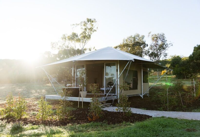 Canvs By Cabn Seppeltsfield Barossa