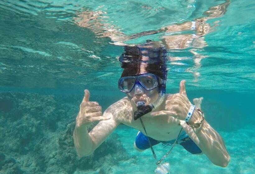 Destin Studio Beach Across The Street