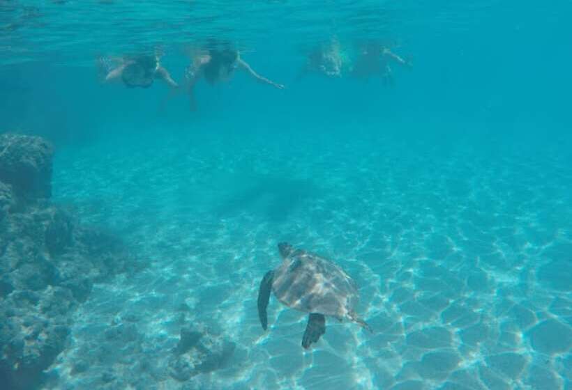 Destin Studio Beach Across The Street