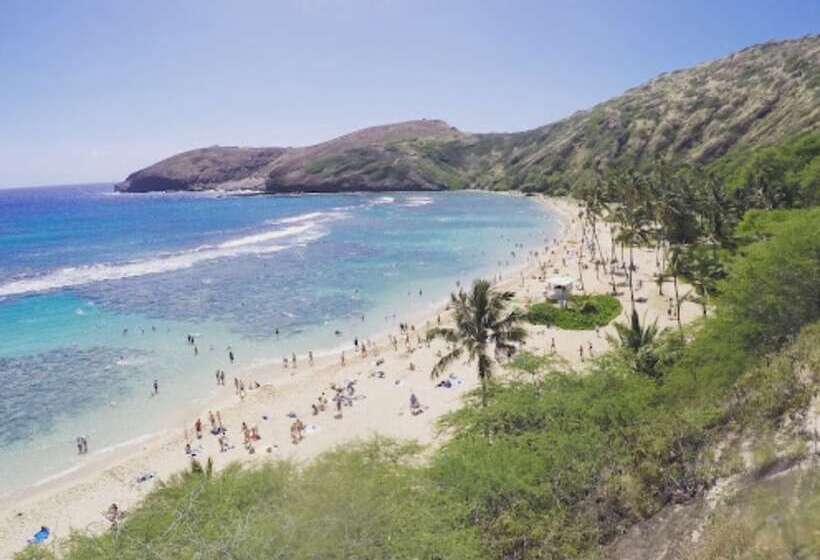Destin Studio Beach Across The Street