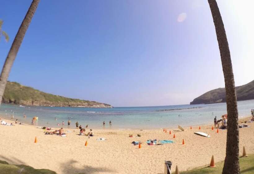 Destin Studio Beach Across The Street