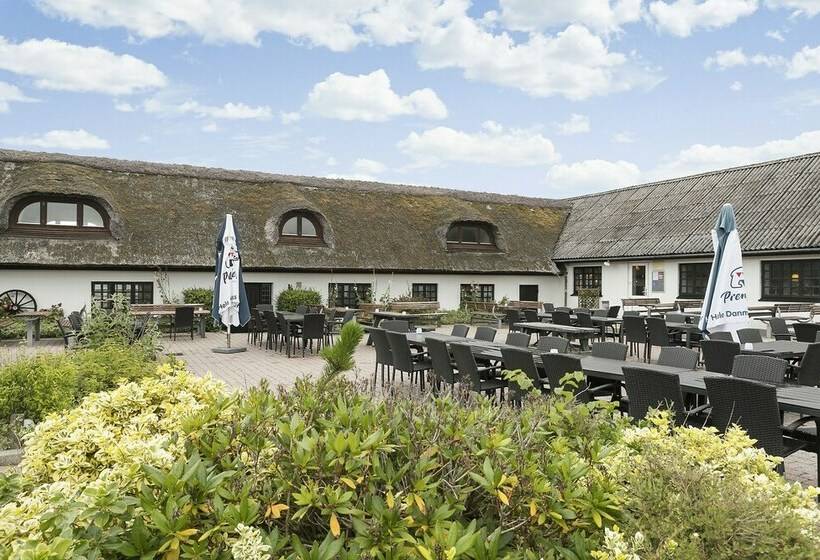 First Camp Klim Strand Nordvestkysten