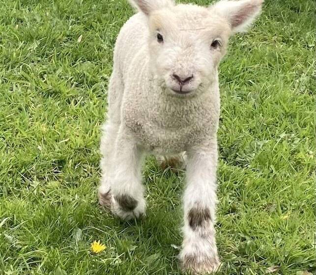 Gratton Grange Farm Holiday Cottage