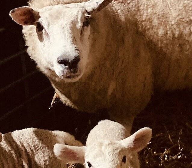 Gratton Grange Farm Holiday Cottage