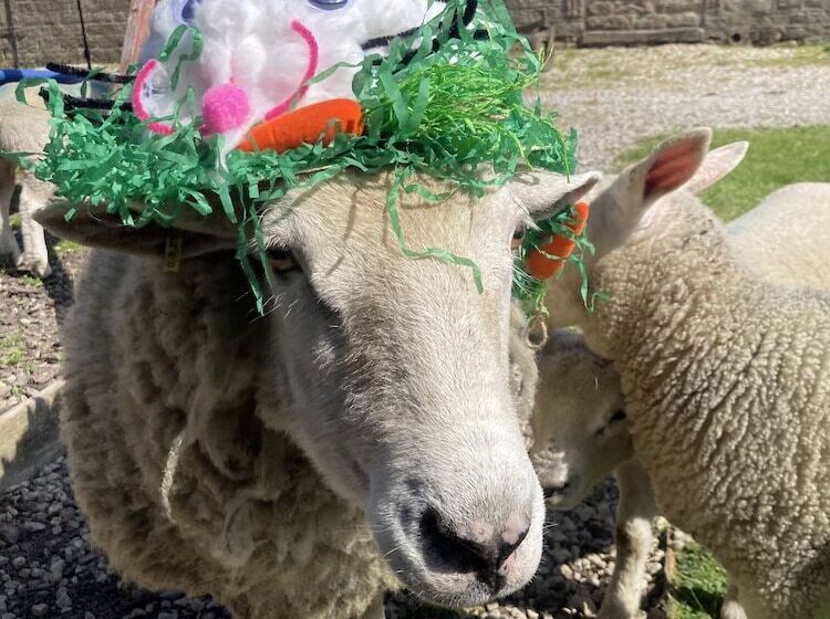 Gratton Grange Farm Holiday Cottage