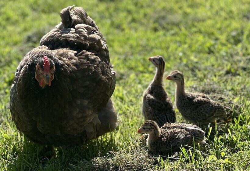 Gratton Grange Farm Holiday Cottage