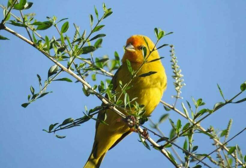 פונדק Pousada Vila Mathilde