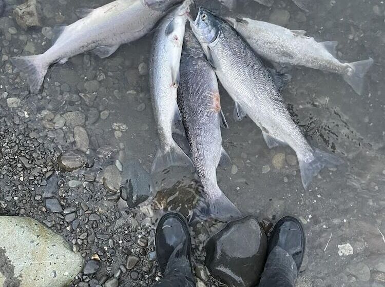 호텔 Alaska Lake And Lodge At Longmere