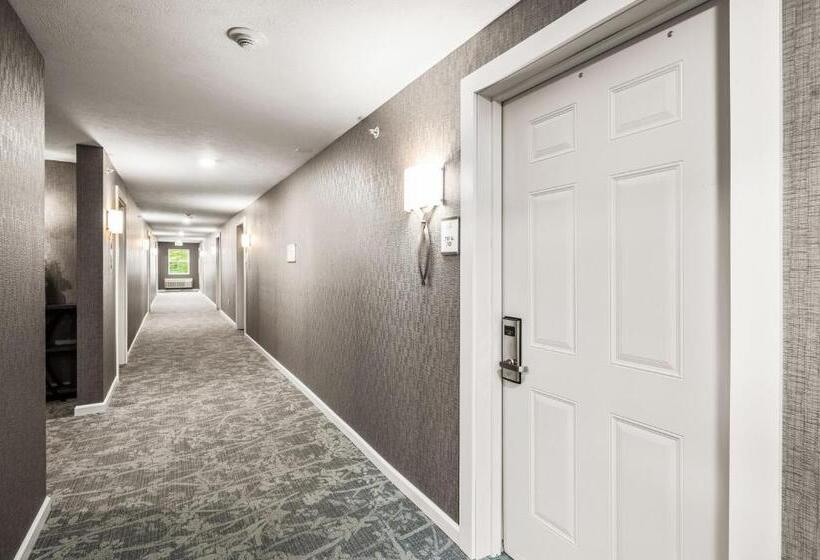 בית מלון כפרי Alexandra Inn