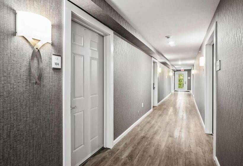 ホテル Alexandra Inn