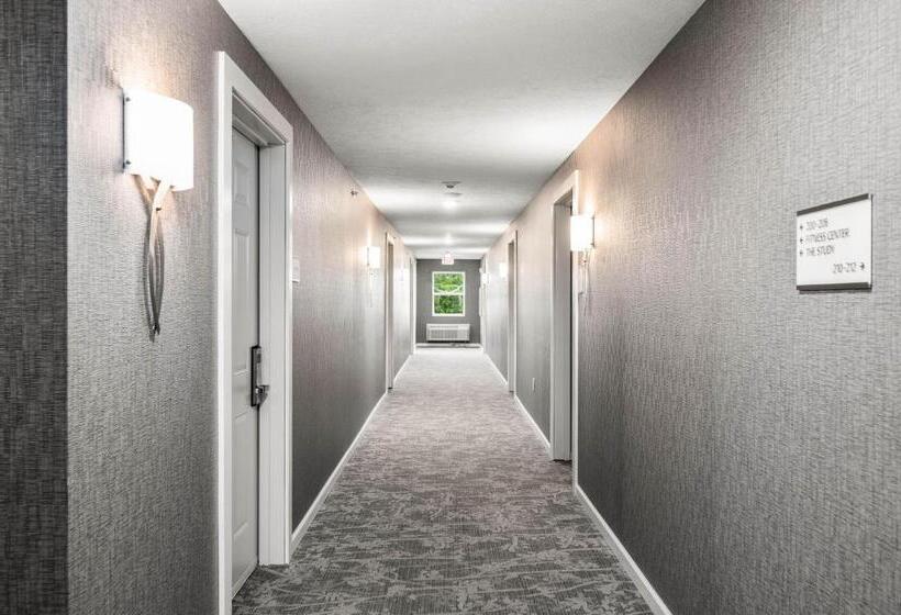 בית מלון כפרי Alexandra Inn