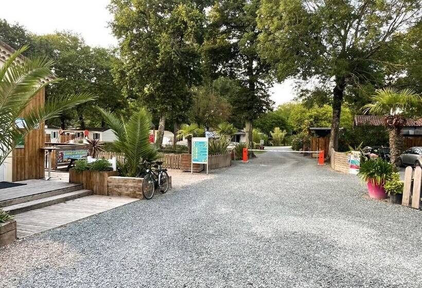 酒店 Camping Maeva Club Royal Océan