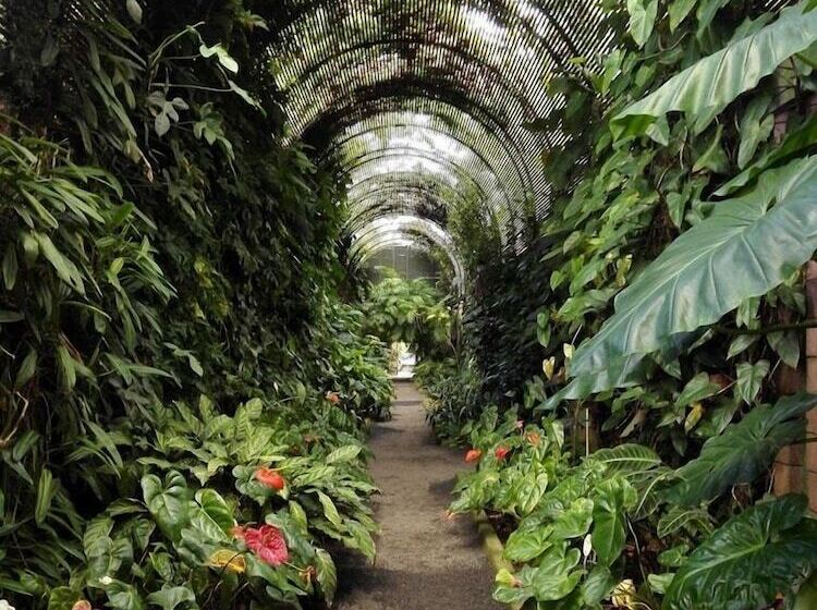 فندق Don Cándido