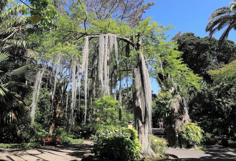 فندق Don Cándido