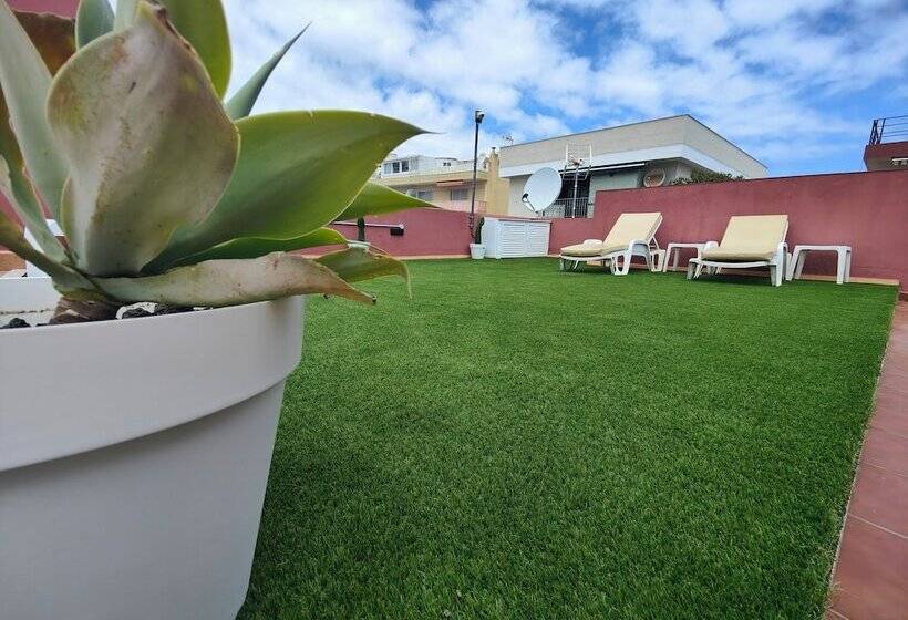 فندق Don Cándido