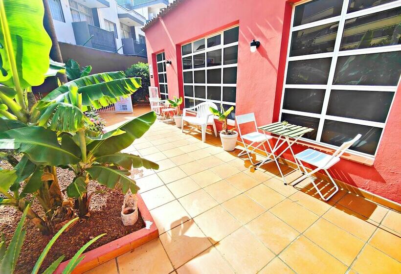 فندق Don Cándido