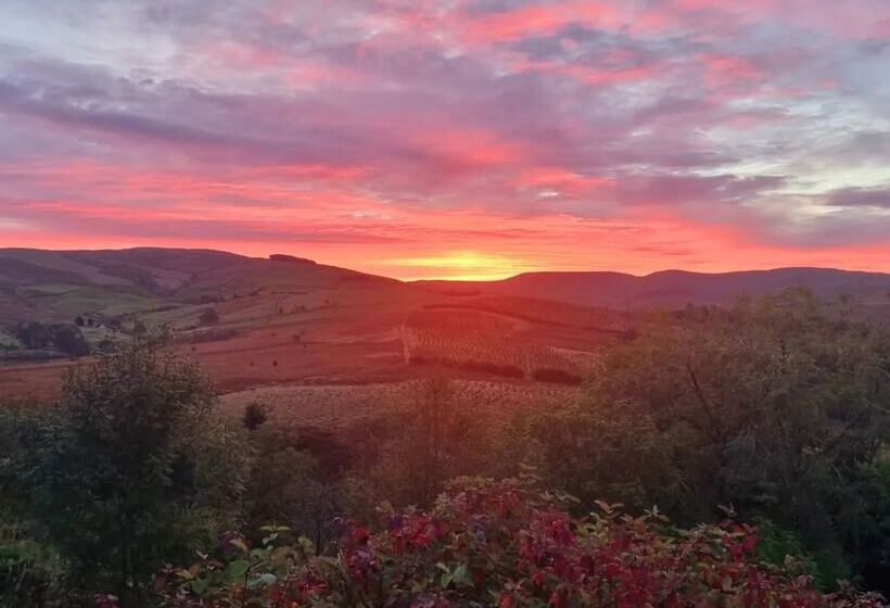酒店 Forester S Retreat Glamping   Cambrian Mountains