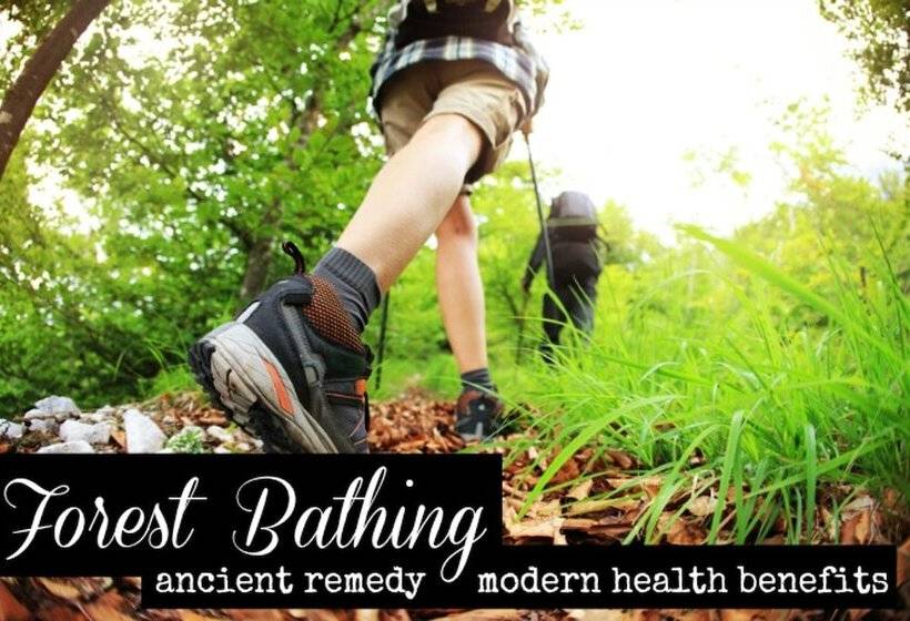 酒店 Forester S Retreat Glamping   Cambrian Mountains