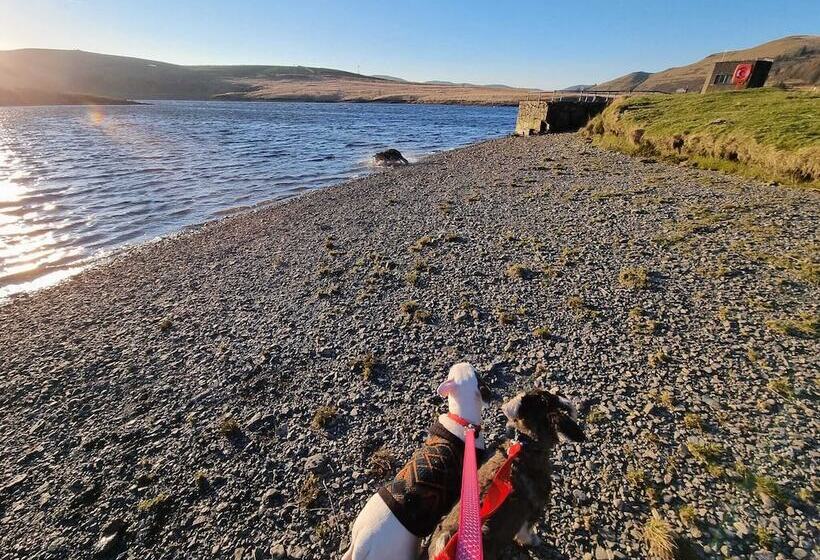 酒店 Forester S Retreat Glamping   Cambrian Mountains
