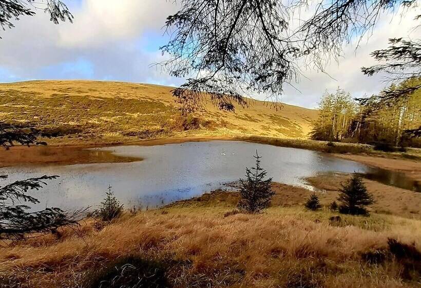 酒店 Forester S Retreat Glamping   Dinas View