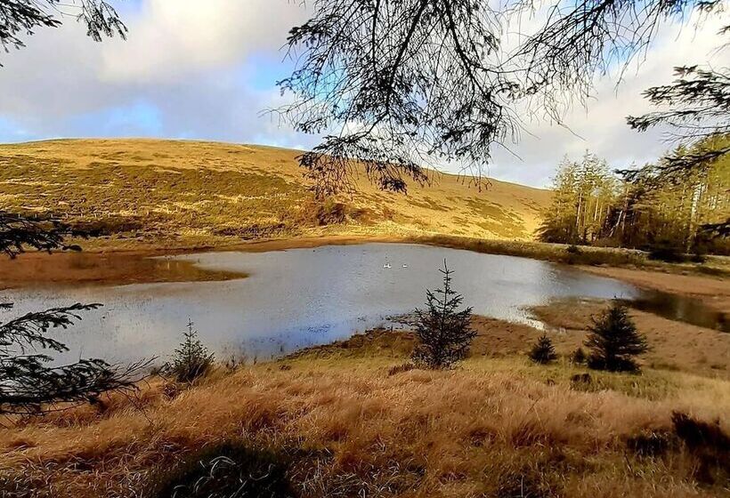 酒店 Forester S Retreat Glamping   Dinas View