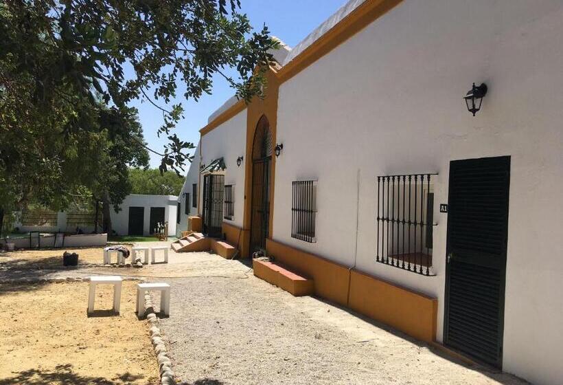 هتل Hacienda Marcharavi