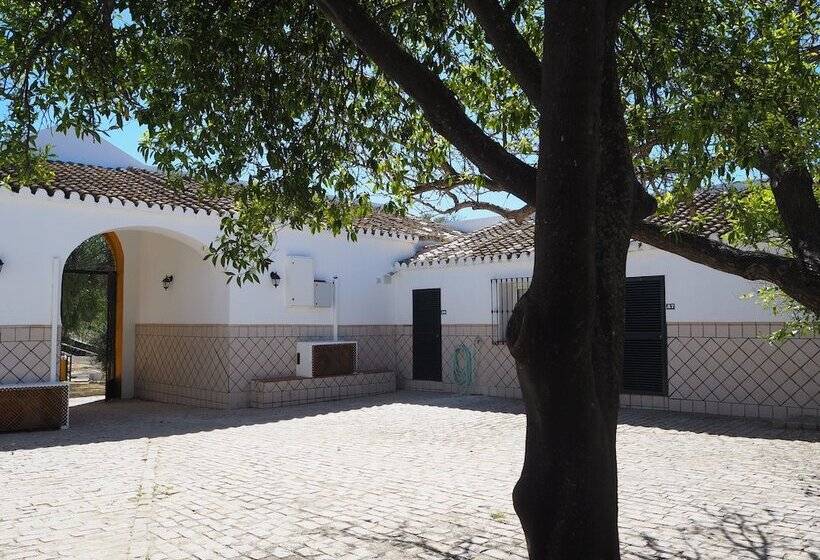 Отель Hacienda Marcharavi