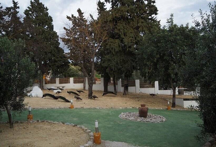 هتل Hacienda Marcharavi