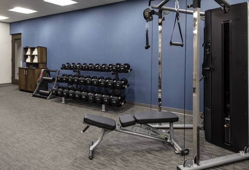 בית מלון כפרי Hampton Inn & Suites Indianapolis West Speedway