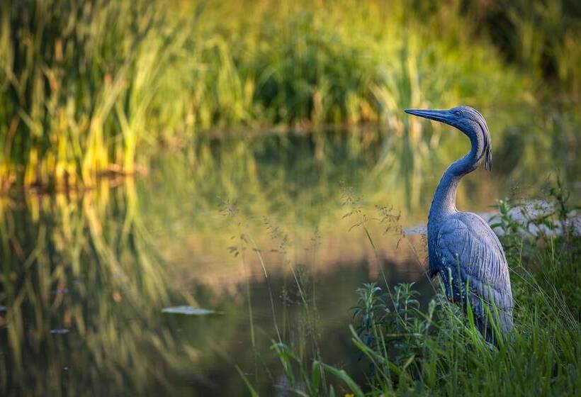 酒店 Hôtel En Tilleul