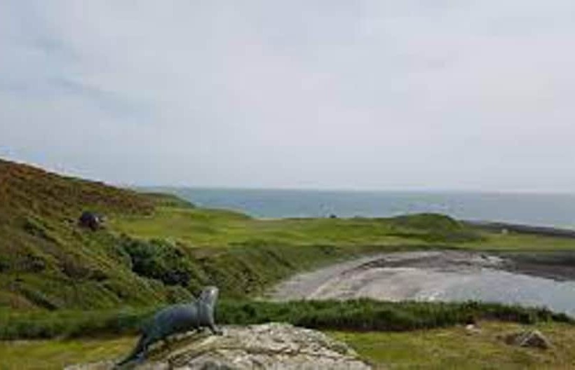 Отель Immaculate 2 Bed Static Caravan At Monrieth