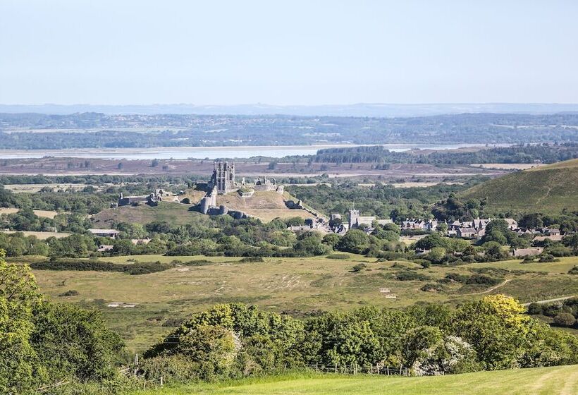 فندق Kingston Country Courtyard