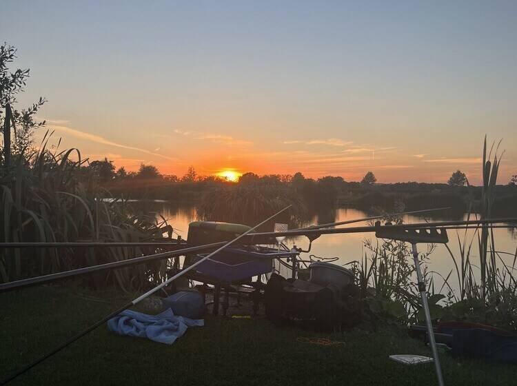 Отель New Farm Holidays