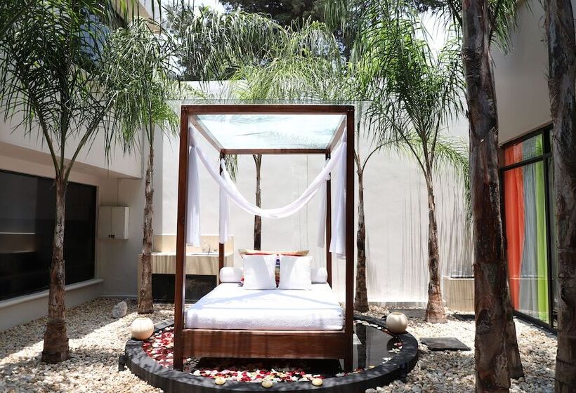 בית מלון כפרי Posada Tulancingo