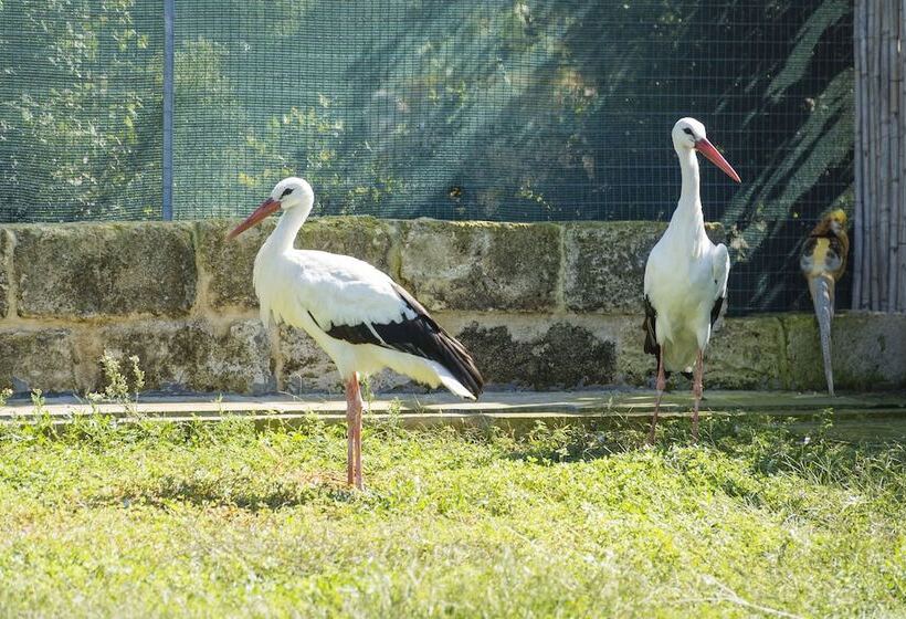 田舎風ホテル Borgo Segine