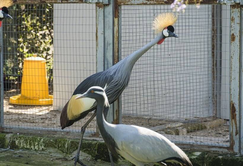 田舎風ホテル Borgo Segine