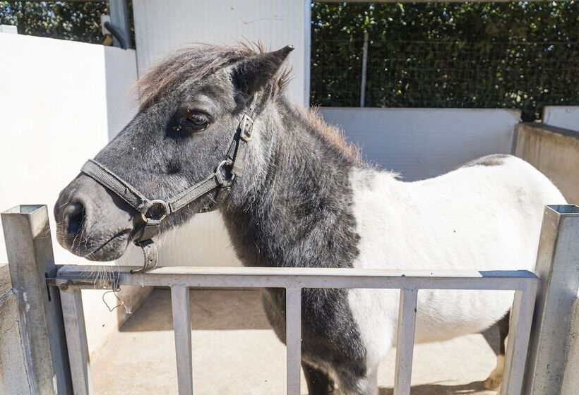 田舎風ホテル Borgo Segine