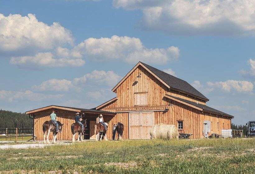 Сельский отель Clydesdale Outpost