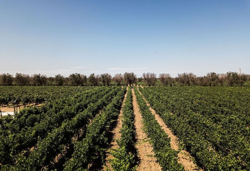 בית מלון כפרי Masseria Torleanzi   Wine Relais