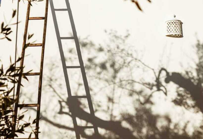 בית מלון כפרי Sikalindi