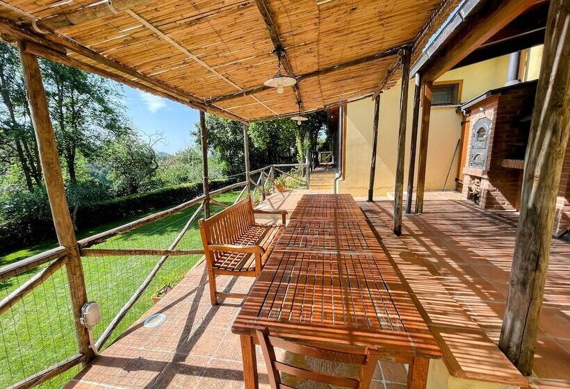 هتل Spoleto Splash No920 : Toretta/wifi/aircon/dishwasher