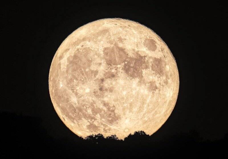 ホテル The Grand Canyon Headquarters