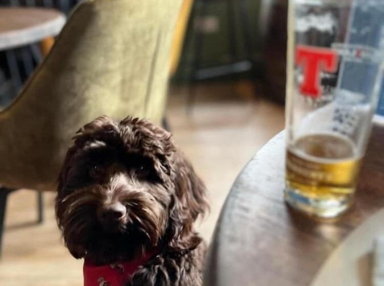 فندق The Kenmuir Arms