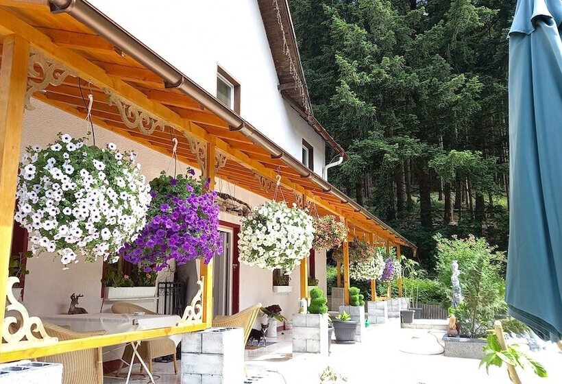 ホテル Waldpension Pfeiferhaus