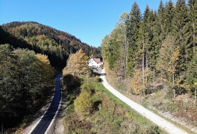 هتل Waldpension Pfeiferhaus