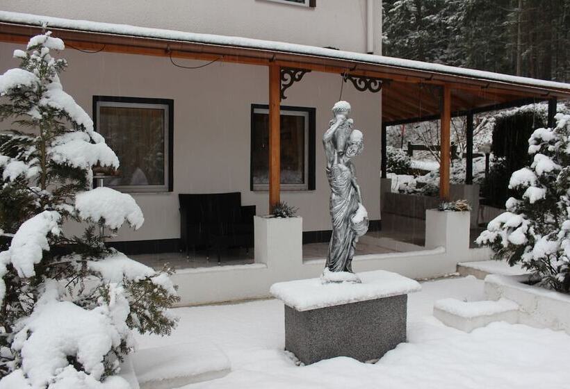 ホテル Waldpension Pfeiferhaus