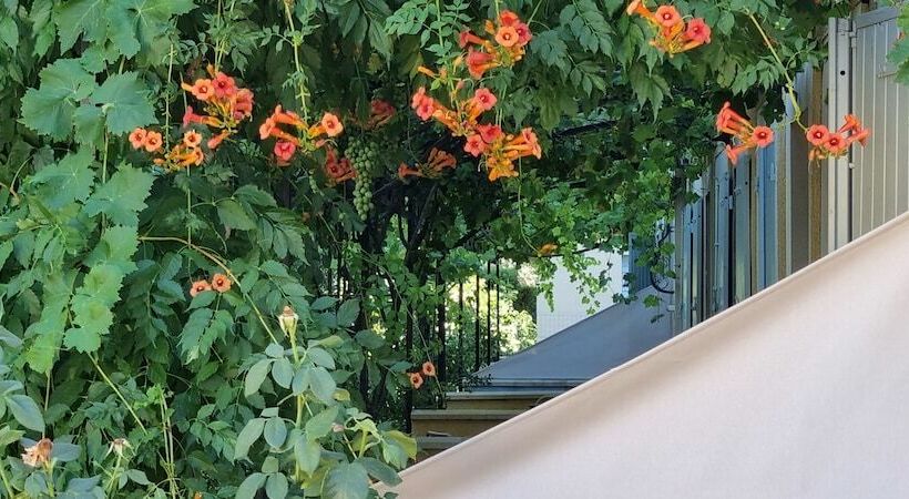 Le Gîte Du Festival Sud Aqua   Avignon Tgv