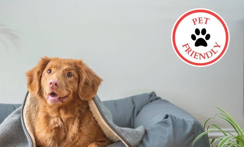 فندق على الطريق Oyo  I20 Decatur, East Atlanta